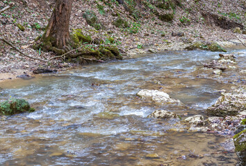 streambed, with muddy water in the spring period of the year during snowmelt