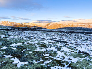 Autumn landscape in Dovrefjell National Park, Norway, surrounded by snow and vegetation