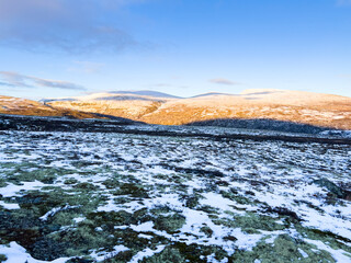 Autumn landscape in Dovrefjell National Park, Norway, surrounded by snow and vegetation