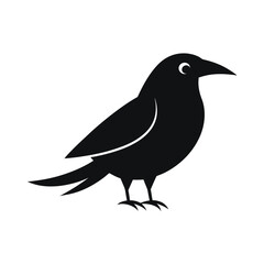crow octopus illustration vector