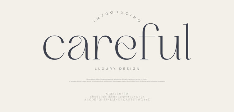 Careful, Elegant Font Uppercase Lowercase and Number. Classic Lettering Minimal Fashion Designs. Typography modern Serif fonts regular decorative vintage concept.
