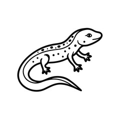 Lizard  on transparent background