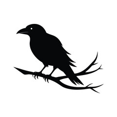 Obraz premium crow on a branch on transparent background 