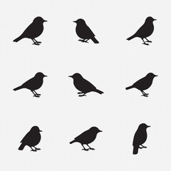Vector set of bird silhouettes. Birds silhouette different vector illustrations.