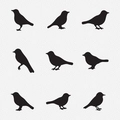 Fototapeta premium Vector set of bird silhouettes. Birds silhouette different vector illustrations.