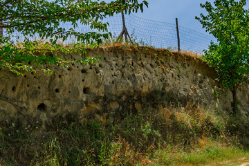 Nests of European bee-eater in the loess wall