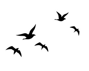 Flying Birds Silhouettes Vector - Isolated Bird Flock for Tattoo Design on White