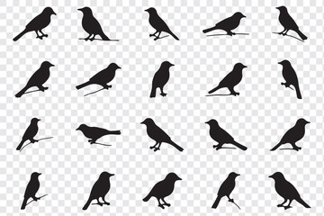 Vector set of bird silhouettes. Birds silhouette different vector illustrations.