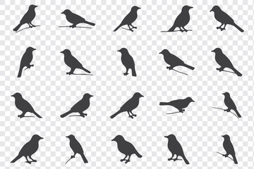 Vector set of bird silhouettes. Birds silhouette different vector illustrations.