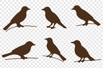 Silhouettes of birds doodle set. Black collection design animal cartoon for nature. Element graphic drawing sketch and isolated white background. Abstract decoration symbol.
