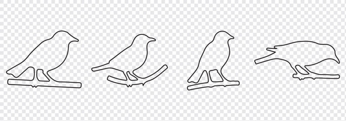 Birds icon set. fly illustration sign collection. nature symbol. Bird's black silhouettes set. bird silhouettes on white background.