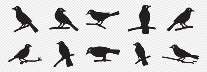 Set of black bird silhouettes. Vector elements for designfly illustration sign collection. nature symbol.