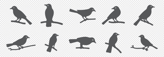 Set of black bird silhouettes. Vector elements for designfly illustration sign collection. nature symbol.