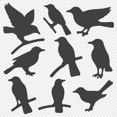 Fototapeta premium bird silhouettes, black and white, vector graphics, various poses, perched birds, flying birds, detailed bird shapes, minimalist design, ornithology illustration, nature clipart, bird watching guide