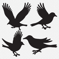 bird silhouettes, black and white, vector graphics, various poses, perched birds, flying birds, detailed bird shapes, minimalist design, ornithology illustration, nature clipart, bird watching guide