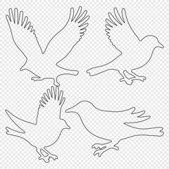 Bird silhouette vector, flying bird silhouette free, flying bird silhouette identification, silhouettes of birds of prey in flight, raptor bird silhouette.