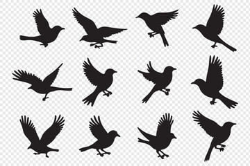 silhouettes of birds vector. bird silhouette vector illustration, perfect for logo design, art projects, and graphic design.
