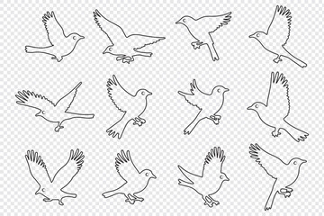 Bird silhouette vector, flying bird silhouette free, flying bird silhouette identification, silhouettes of birds of prey in flight, raptor bird silhouette.