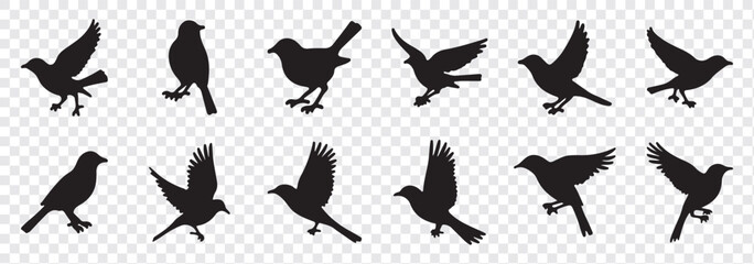 Bird's black silhouettes set. bird silhouettes. isolated on white background.