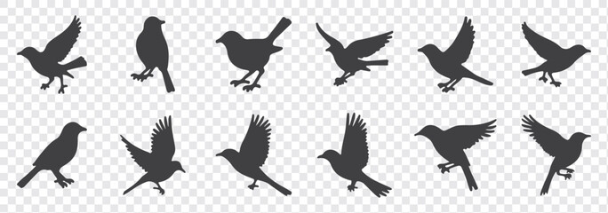 Bird's black silhouettes set. bird silhouettes. isolated on white background.