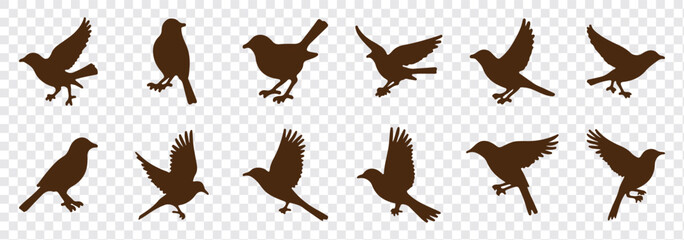 Bird's black silhouettes set. bird silhouettes. isolated on white background.