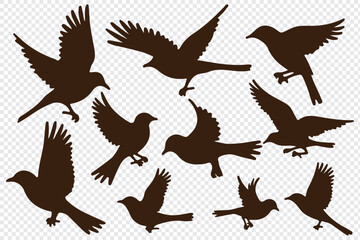 Bird's black silhouettes set. bird silhouettes. isolated on white background.