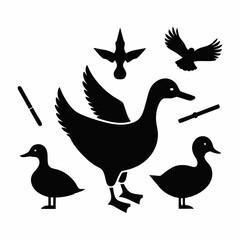 Silhouette collection of various birds