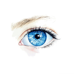 watercolor of A Baby Blue Eyes Stem, vector, isolated on a white background.