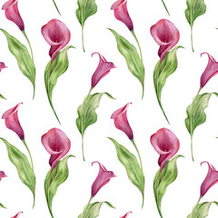 Calla lilies flowers seamless watercolor pattern. Hand drawn floral ornament isolated on white background. Template for textile design, packaging, wrapping paper.