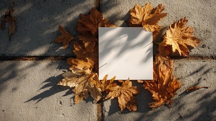 Obraz premium Square Mockup with Autumn Leaves on Concrete