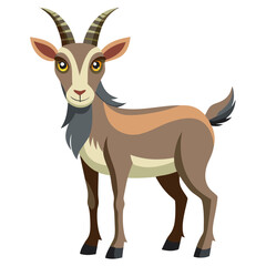 goat on a white background