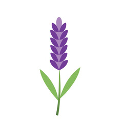 Lavender Flower Vector Icon – Botanical Herbal Design