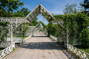 Stone tiled pathway in Parnu, Estonia, with white wooden trellises covered in green climbing plants, flanked by benches and surrounded by trees.