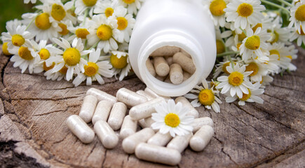 Chamomile Capsules and Fresh Daisies on Wooden Surface