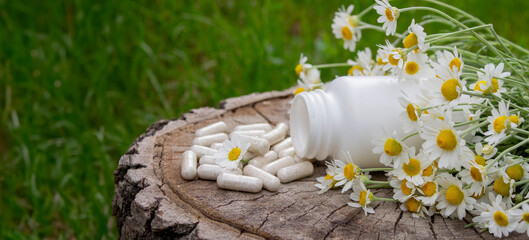 Chamomile Capsules and Fresh Daisies on Wooden Surface