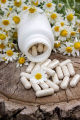 Chamomile Capsules and Fresh Daisies on Wooden Surface