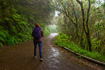 Fototapeta premium Woman hiking in Anaga forest trail