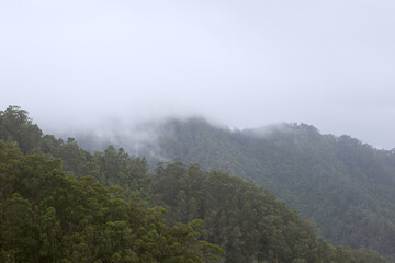 Fog in the mountains