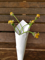 close up of a bunch of tridax daisy flowers on a wooden board background (Tridax procumbens)