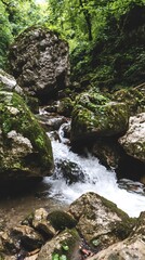 A cascading waterfall tumbles over mossy rocks in a lush forest.