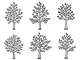 Birch Tree Line Art Collection