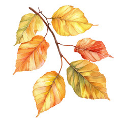 Autumn Leaves Softly Fall, watercolor painting vector, isolated on a white background.