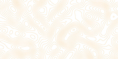 abstract White wave paper curved reliefs abstract background Topographic map lines background