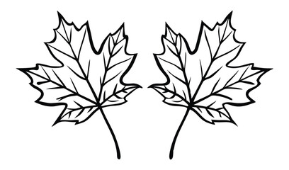 vector illustration of a leaf