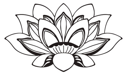 vector illustration of lotus flower