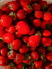 Freshly harvested strawberries in a bowl ready for summer desserts and smoothies