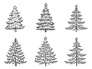 Chromosome Line Drawing Illustration