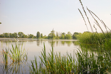lake in the park on a sunny day 