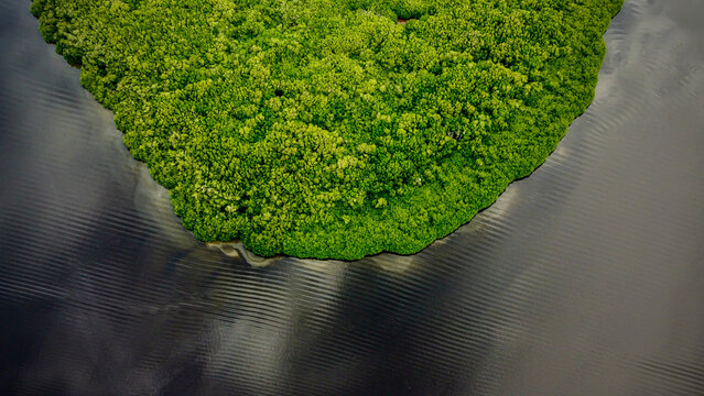 Aerial view of a mangroves island in Chacahua, Oaxaca