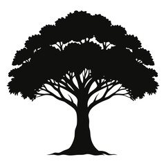 Banyan Tree silhouette vector with editable and white background